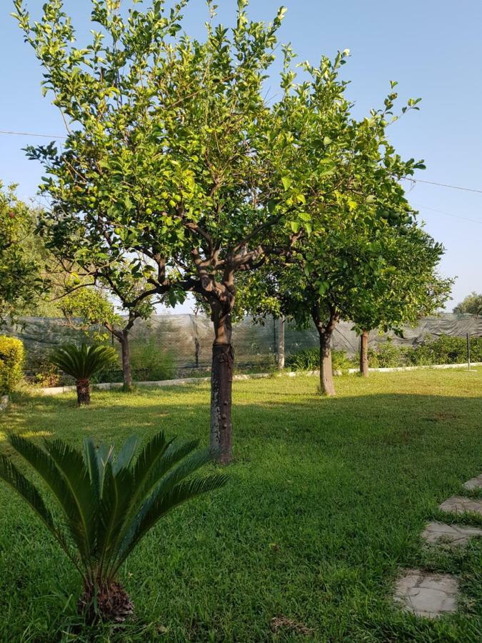Casa Vacanza Le Tre Palme Apartment ฟลอริเดีย ภายนอก รูปภาพ